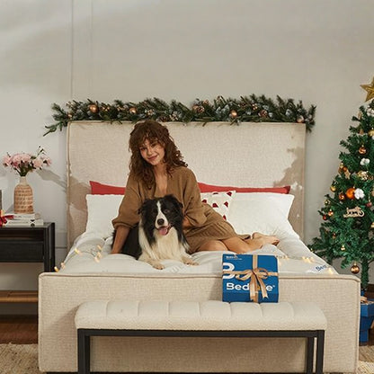 Thicken Bedding Fitted Sheet, Fluffy Pillow Top Pad,Cooling Comfortable Mattress Cover